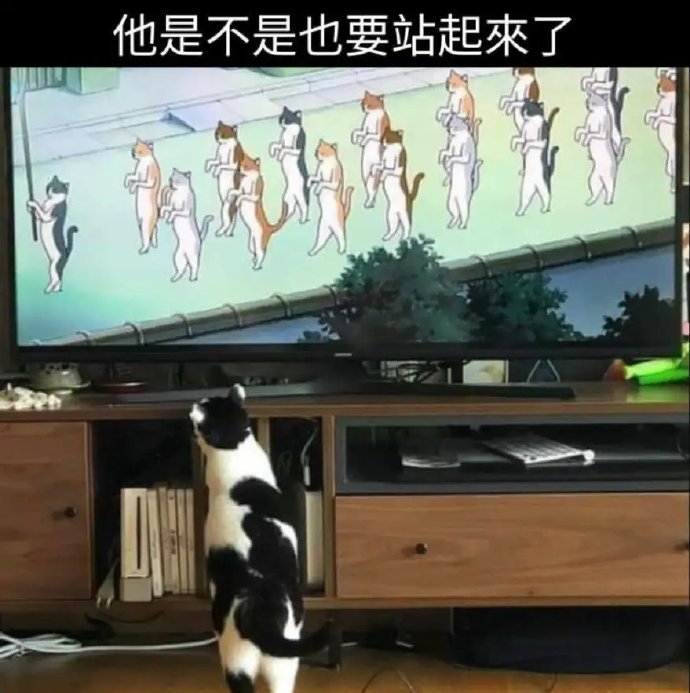 3CD有意思GIF动态图【第43期】看着好美味