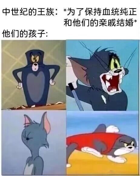 3CD有意思GIF动态图【第43期】看着好美味-3CD