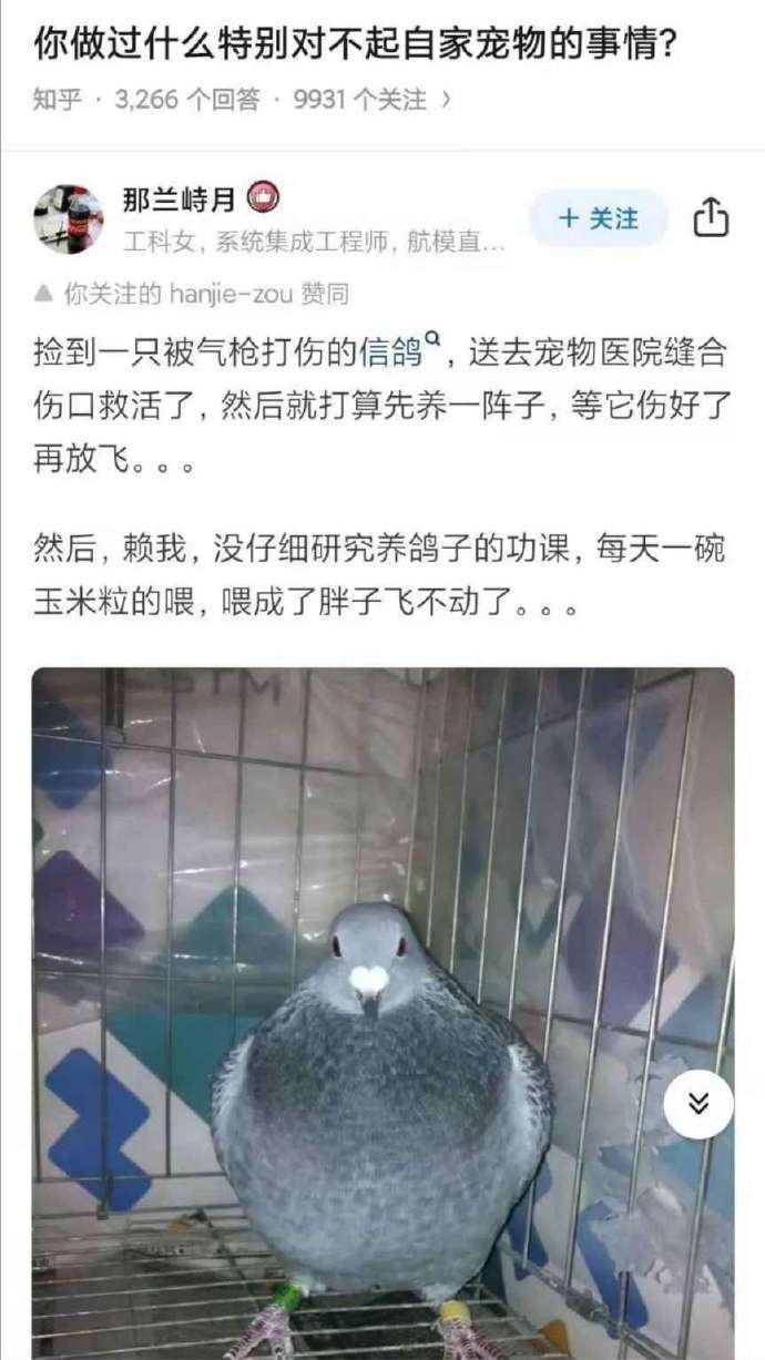 3CD有意思GIF动态图【第43期】看着好美味-3CD