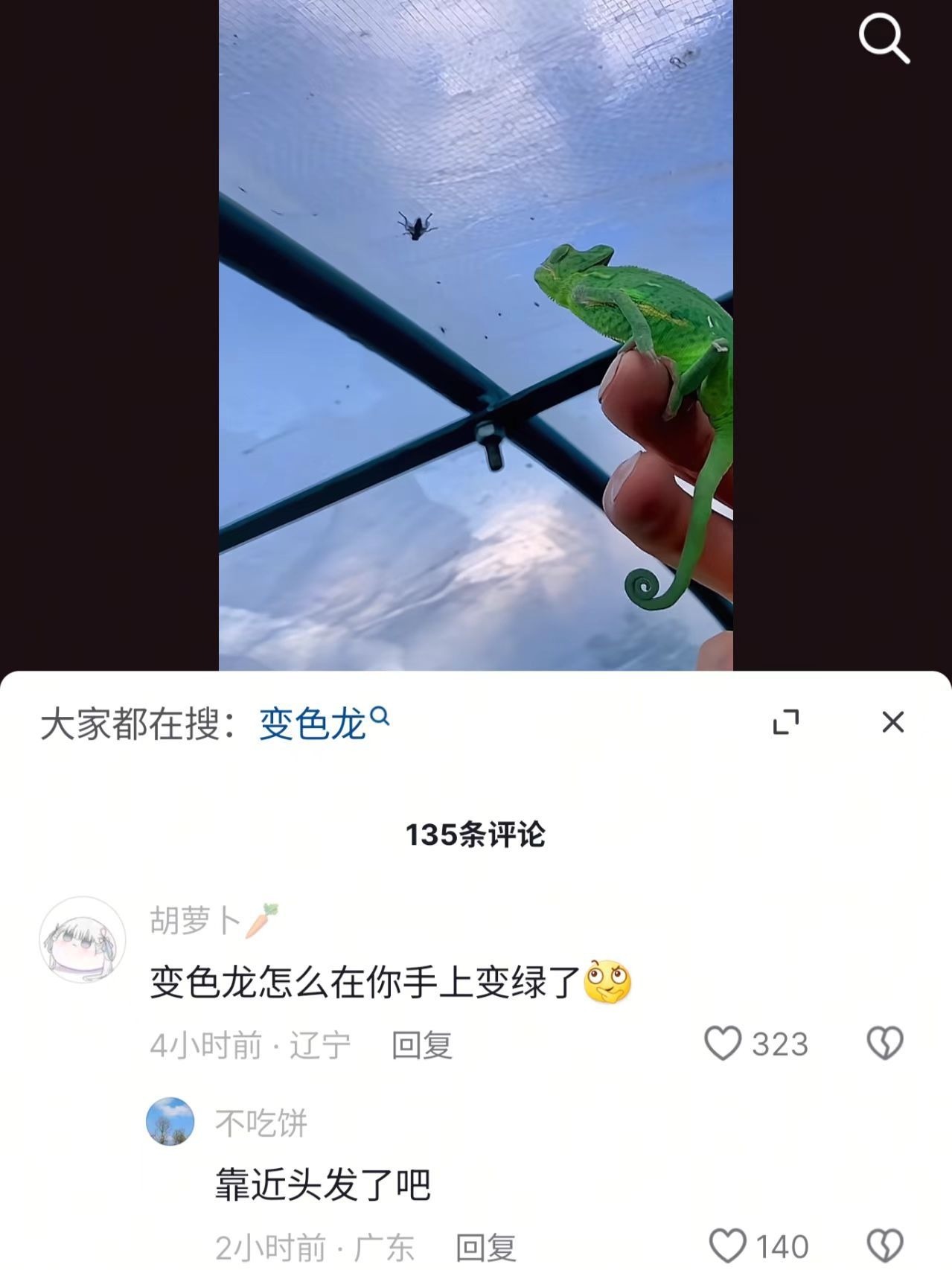 3CD有意思福利有趣图【第87期】生活也不会完蛋-3CD