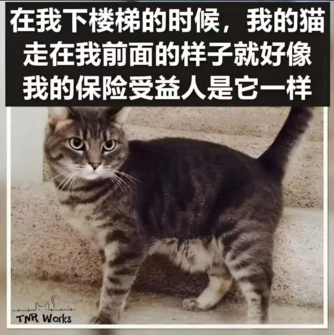 3CD有意思福利有趣图【第101期】戴口罩没动力啊-3CD