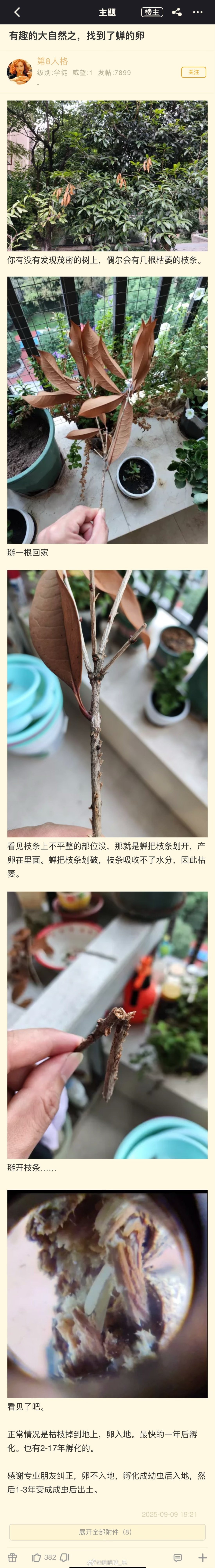 3CD有意思福利有趣图【第120期】看起来没什么用-3CD