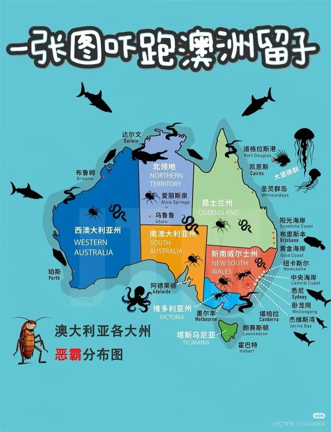 3CD有意思福利有趣图【第155期】战前准备-3CD