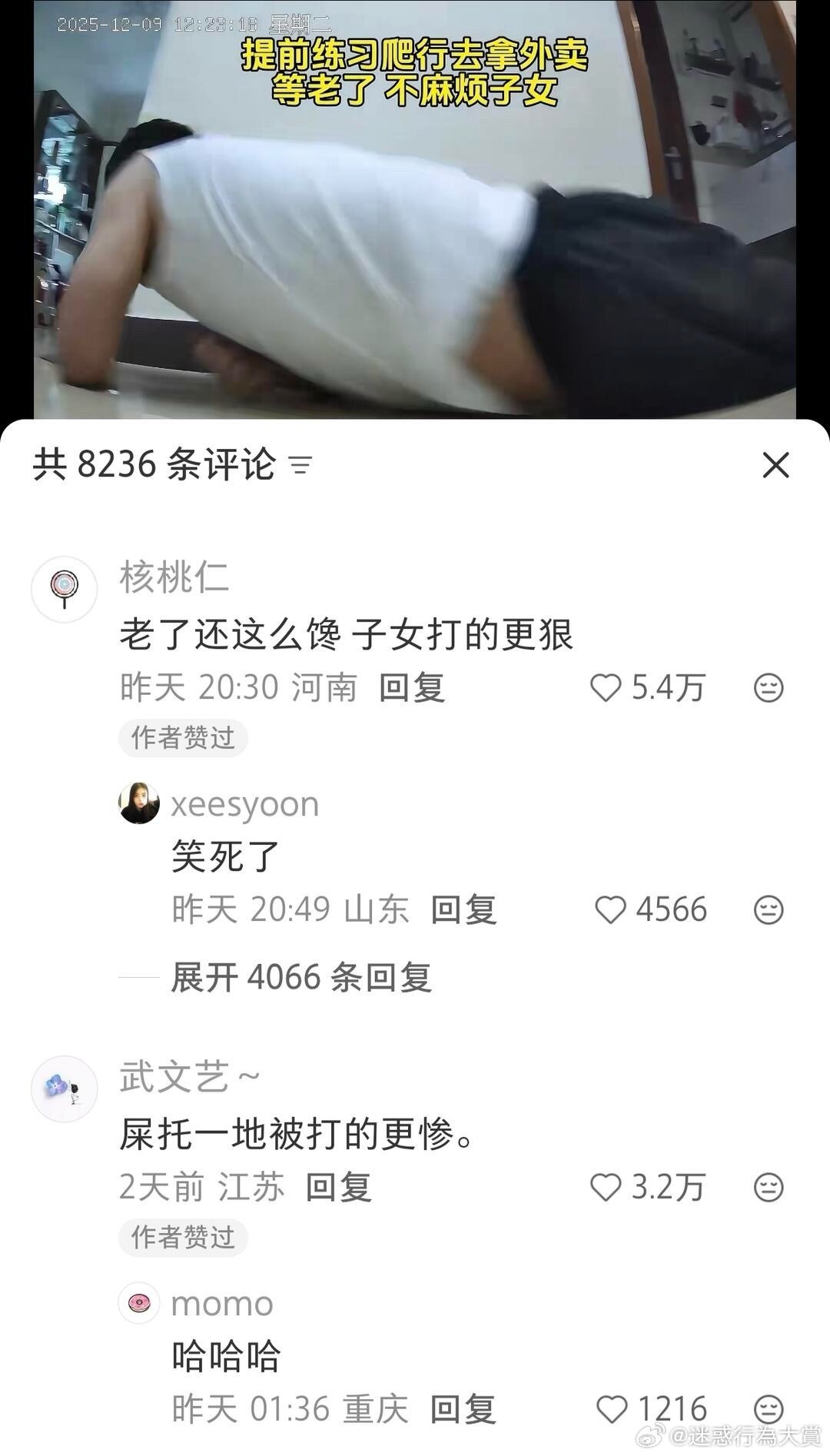 3CD有意思福利有趣图【第157期】兔子舞-3CD
