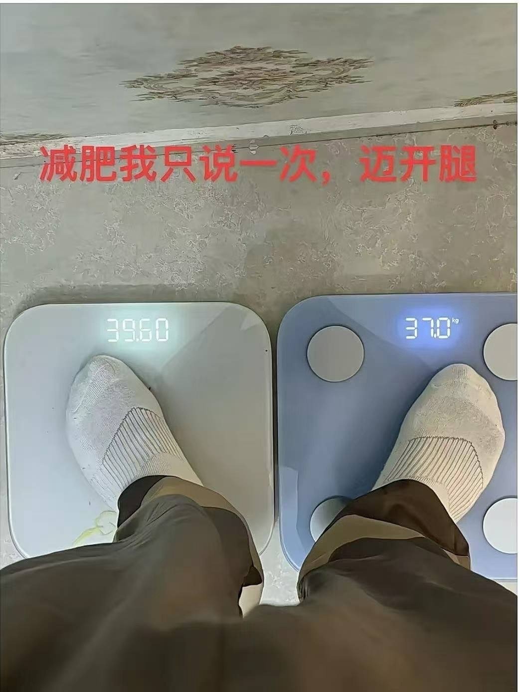 3CD有意思福利有趣图【第157期】兔子舞-3CD