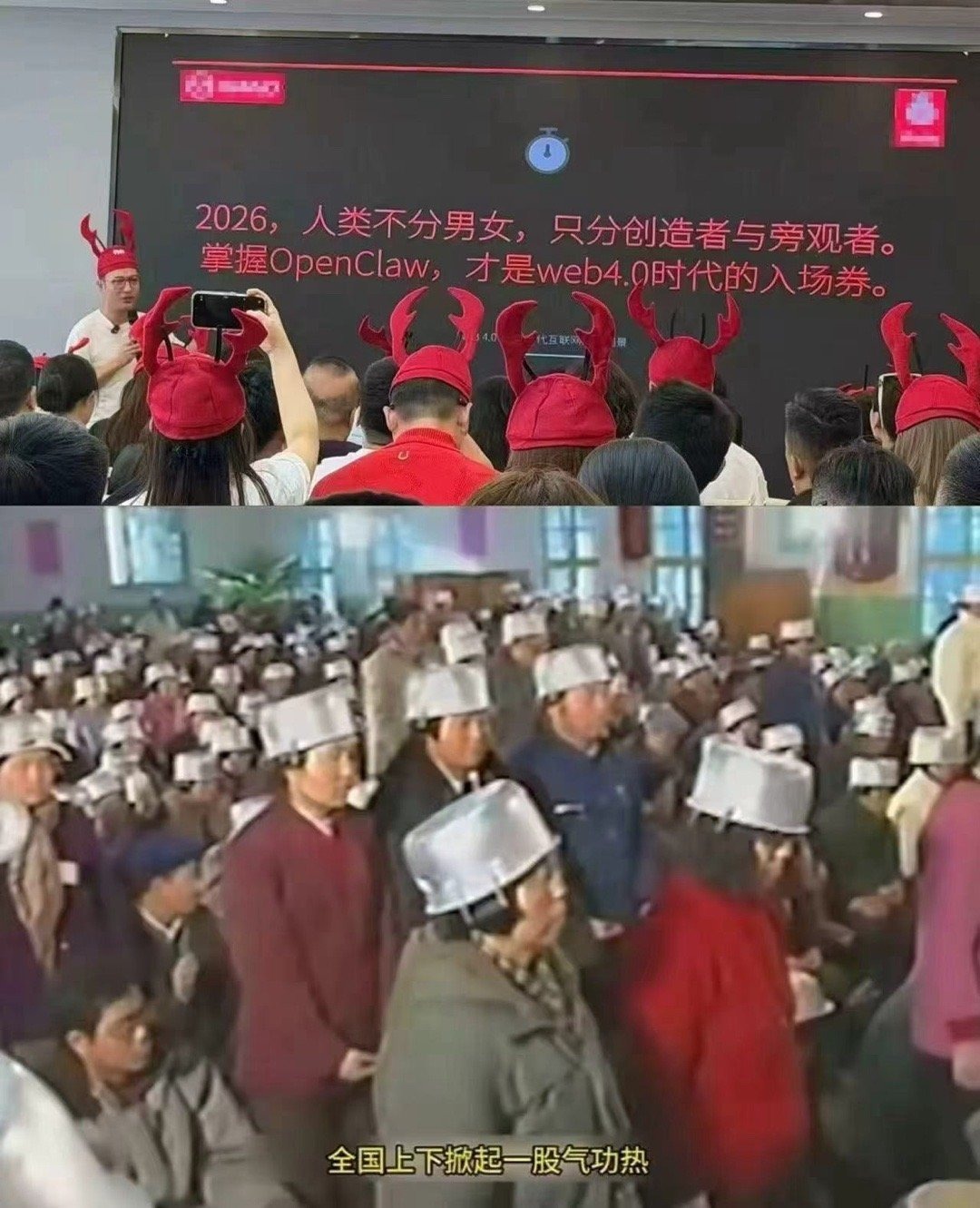 3CD有意思福利有趣图【第200期】雪山救了100只狐狸-3CD